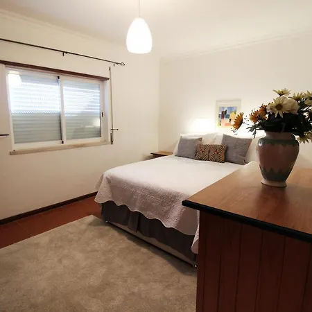 Apartman Atlantico Palm Tree By Sapvillas
